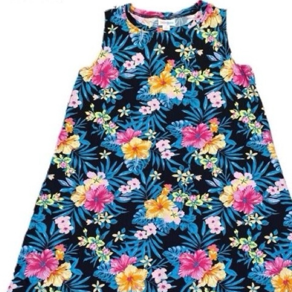 Lularoe Charolette dress 2x